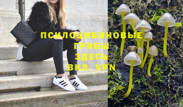 стаф Арсеньев
