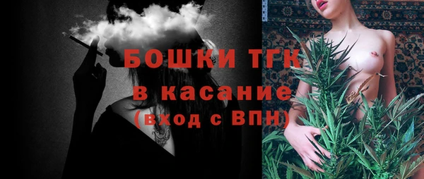стаф Арсеньев