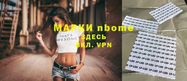 стаф Арсеньев