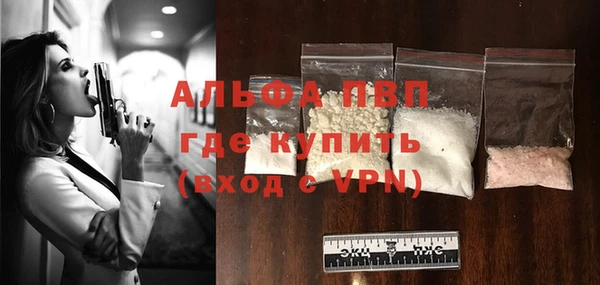 стаф Арсеньев